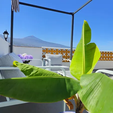Elegant, Comfortable Penthouse With Scenic Views Apartment La Orotava